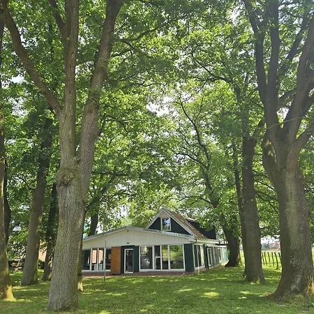 Holiday home Banana Bruchhausen-Vilsen