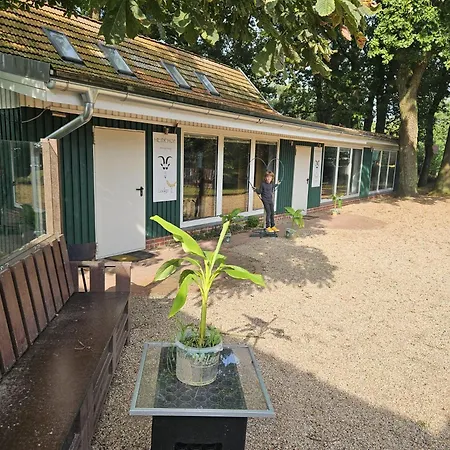 Holiday home Banana Bruchhausen-Vilsen